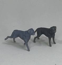 Rottweiler set #1 (2)
